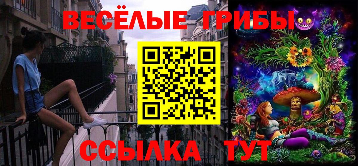 Горно-Алтайск  Псилоцибиновые грибы мицелий  Вход с VPN  Галлюциногенные грибы GOLDEN TEACHER 