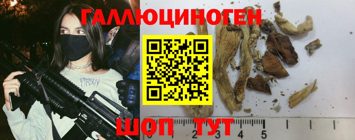 Псилоцибиновые грибы Cubensis Горно-Алтайск